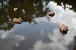 Exposição fotográfica traça paralelo entre fotografia e literatura