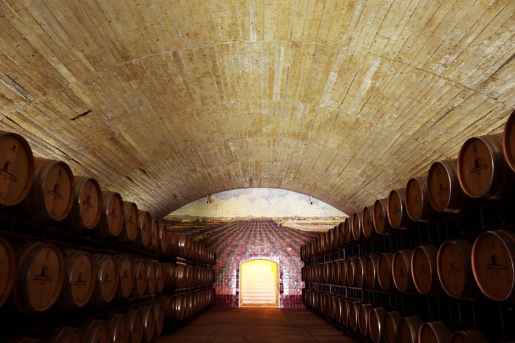 Conheça mais sobre os vinhos portugueses