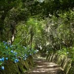 Roteiro de 5 dias pela Ilha da Madeira