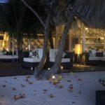 Jericoacoara: dunas douradas e águas transparentes