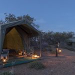 Sanbona: conheça um dos melhores safaris próximo a Cape Town