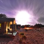 Sanbona: conheça um dos melhores safaris próximo a Cape Town