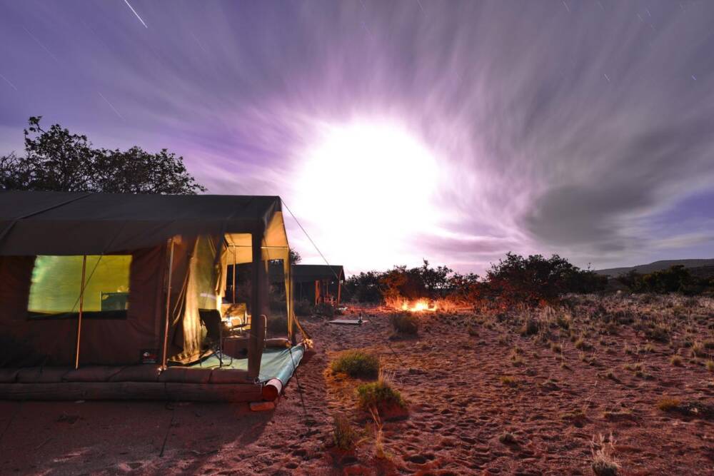 Sanbona: conheça um dos melhores safaris próximo a Cape Town