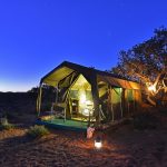 Sanbona: conheça um dos melhores safaris próximo a Cape Town