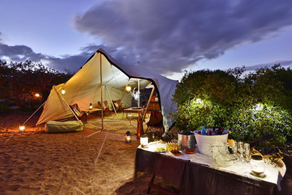 Sanbona: conheça um dos melhores safaris próximo a Cape Town