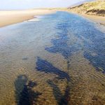 10 praias incríveis pra conhecer no Caribe