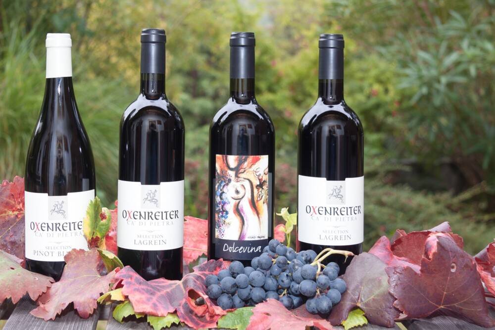 Como entender os rótulos de vinhos e nunca mais ficar confuso