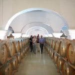 6 razões para visitar as vinícolas do Alentejo