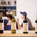 6 razões para visitar as vinícolas do Alentejo