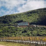 Sudeste uruguaio é referência em enoturismo