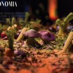 Especial + 15: Gastronomia