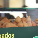 Confira o giro lounge* pelos points do inverno português
