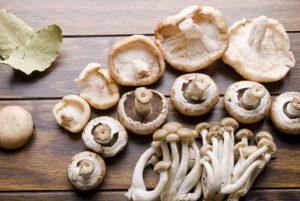 Conheça as principais proteínas de um vegano