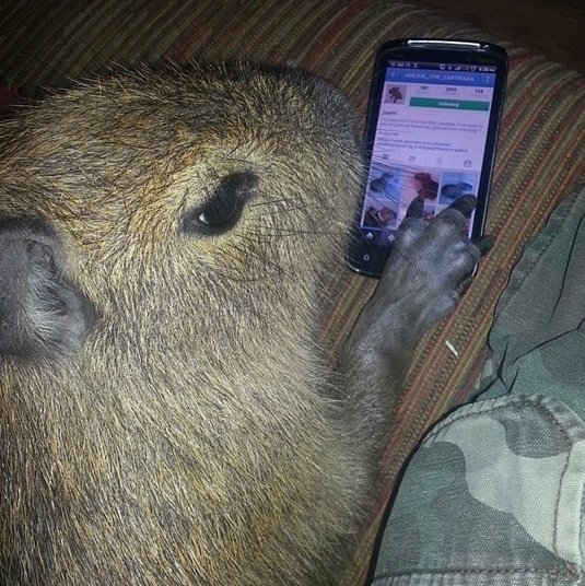 4 anos de insta