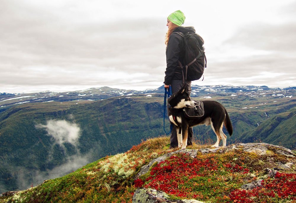Noruega felicidade