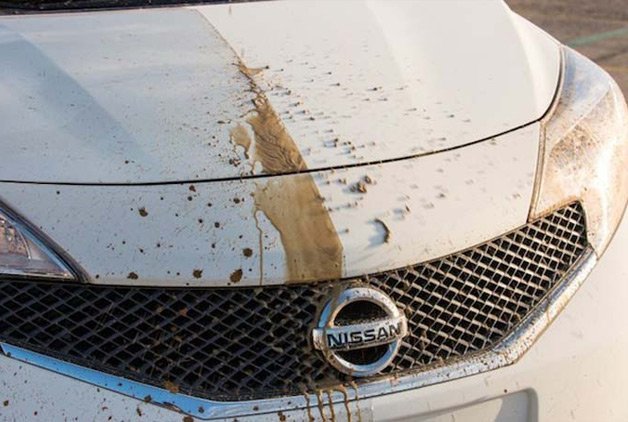 nissan8
